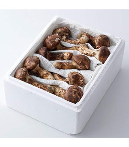 Amazon.co.jp: まつたけ 松茸 マツタケ 中国産松茸 約200g 市場直送(gn